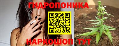 метадон Гай