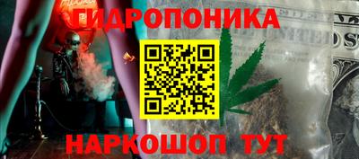 гидра Гагарин