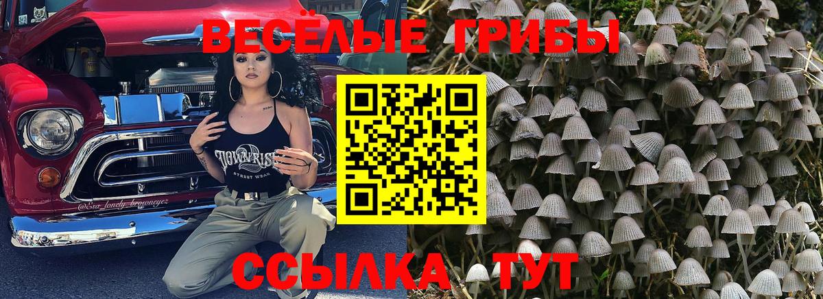 Муром  Галлюциногенные грибы MAGIC MUSHROOMS  купить закладку  Вход с VPN 