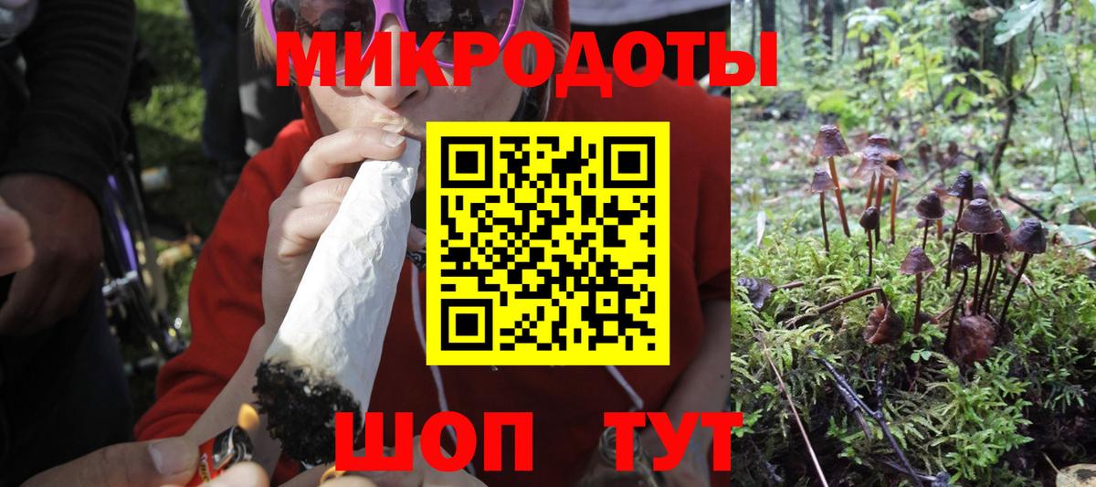 Галлюциногенные грибы мухоморы Муром
