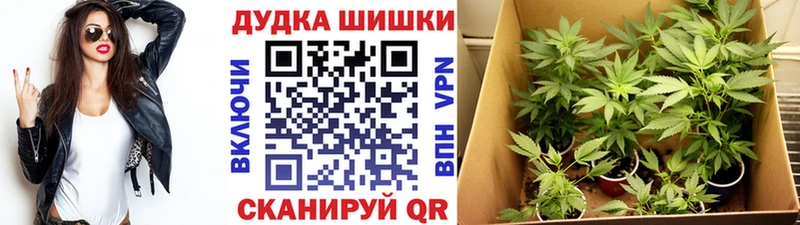 Конопля VHQ  наркота  Муром 